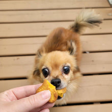 Load image into Gallery viewer, Dog Treats: Peanut Butter
