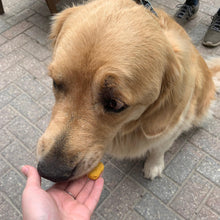 Load image into Gallery viewer, Dog Treats: Peanut Butter
